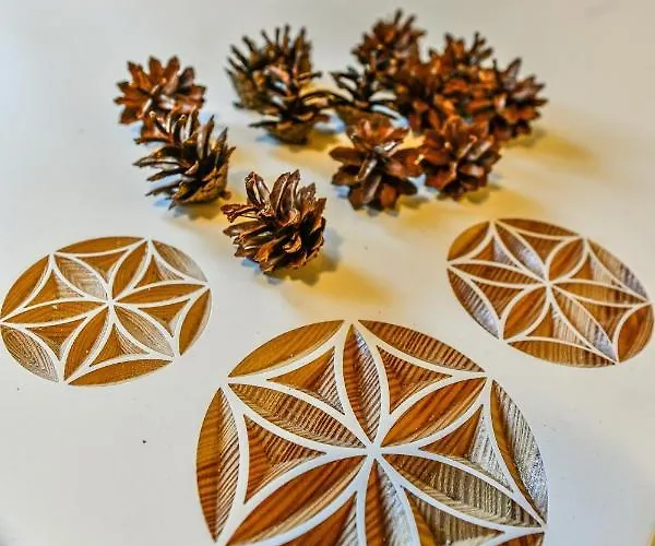 Bachledowka Daire Zakopane