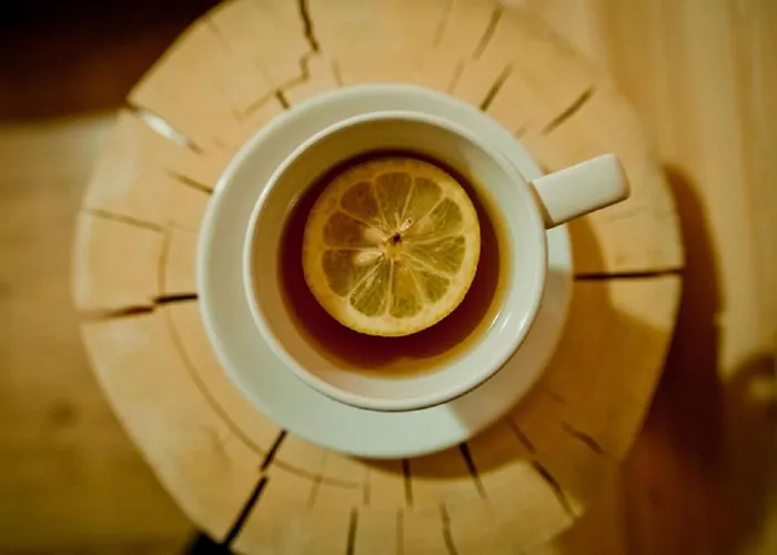 Daire Bachledowka Zakopane