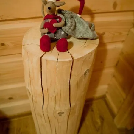 Bachledowka Lejlighed Zakopane