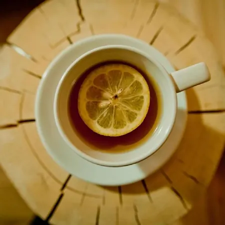 Lejlighed Bachledowka Zakopane