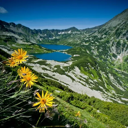 Bachledowka Zakopane