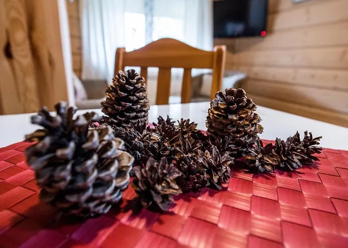 Bachledowka * Zakopane